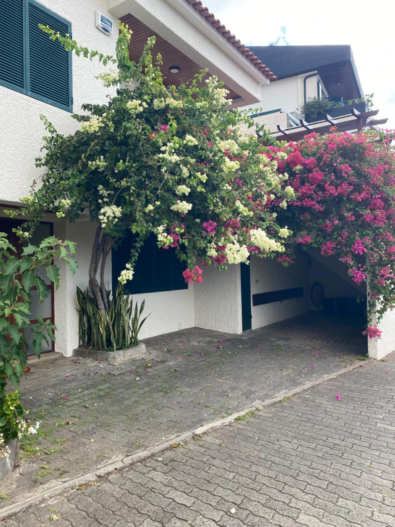 Casa Ideal Para Familias Com Vista Mar Desafogada Funchal  Exteriér fotografie